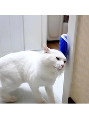 Hype Store Kedi Kaşınma ve Taranma Aparatı Duvara Monte Edilebilir Kedi Kaşınma