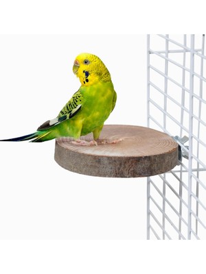 Delixa X-Perk Doğal Ağaç Kuş Tüneği Yuvarlak Tünek Kuş Tünek Kütük Tünek