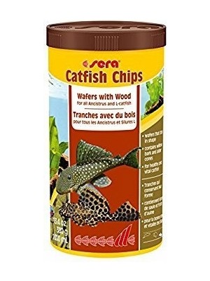 Delixa Wels-Chips 100 ml (38GR)