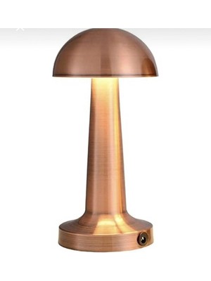 Delixa Masa Lambası CT-8430 Tek Anahtarla 3 Renk 61196