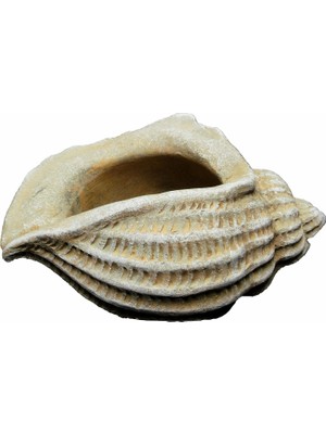 Hepta Collection Classic Home And 260024-C149 Jagger Kabuğu Sukulent Saksısı, Kum