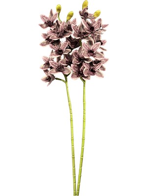 Lara Decor Mor 2'li Sipidyum Orkide Demeti