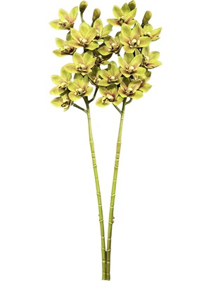 Lara Decor Yeşil 2'li Sipidyum Orkide Demeti