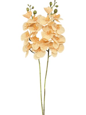 Lara Decor 2'li Somon Islak Orkide Demeti