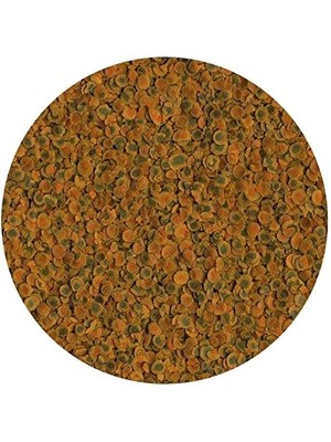 Hype Store Pro Energy 250GR - Kovadan Bölme
