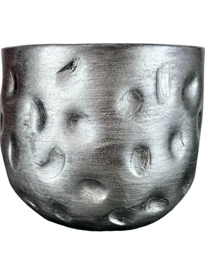 Hepta Collection Bitkitasarımı Bitki Tasarımı Ev Dekorasyon Aksesuar Gümüş Desenli Toprak Saksı Saksılık Salon Çiçekl