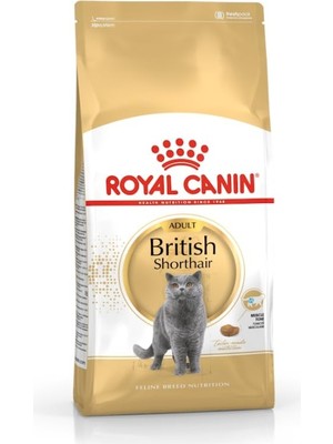Delixa Canin British Shorthair Adult Kedi Maması, 4 kg