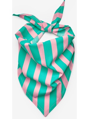 Mint  Çizgi Desenli Çocuk Üçgen Fular