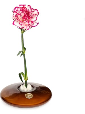 Missi Flora Design-Elegance Kahverengi Cam Vazo