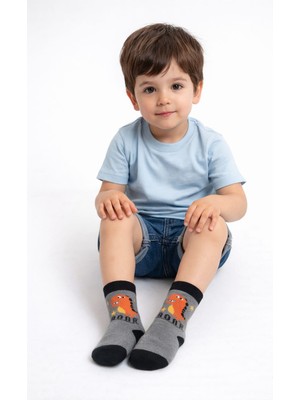 Gigi Giyim Sevimli Dinozor Baskılı Erkek Çocuk Çorap