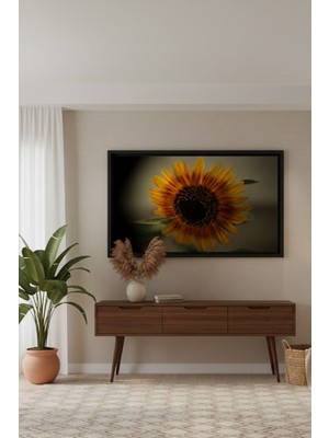 Safir Design Modern ve Rustik Dekoratif Ayçiçeği Çerçeveli Tablo