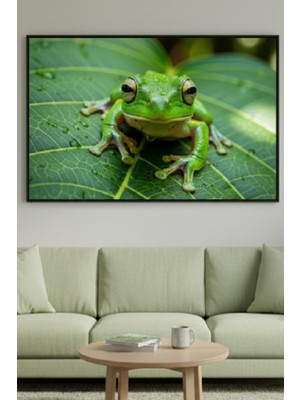 Safir Design Egzotik Doğa Serisi,yaprak Üzerinde Yeşil Kurbağa Çerçeveli Tablo