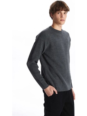 LC Waikiki Antrasit Bisiklet Yaka Erkek Triko Kazak