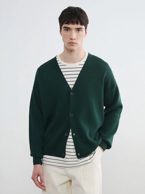 LC Waikiki Yeşil Rahat Kalıp V Yaka Nakışlı Erkek Triko Hırka