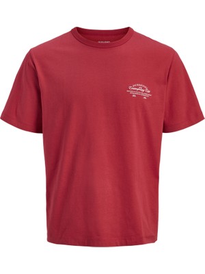 Jack & Jones Erkek Gögüs Logo Baskili Tisört - Nantucket