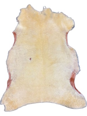 Dekoratif Boyalı Hafif Kusurlu Doğal Koyun Postu - 80X60 cm Koyun Postu - Seccadelik Koyun Postu