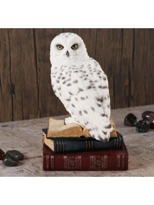 Es Dekor Hayvanlar Alemi Kitap Üstünde Kar Baykuşu