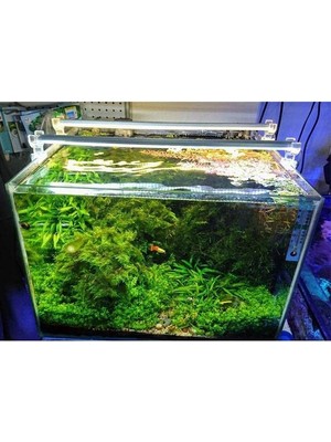 Braventa Collection Orionled Akvaryum Plastik LED Aydınlatma Beyaz 30CM 6500K