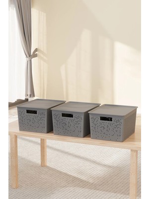 Deyhome Seul 4 Litre Saklama Organizer Kutusu | Çok Amaçlı Düzenleyici | 27,5 x 18 x 12 cm