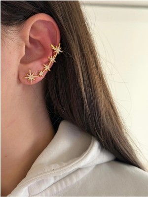 14K Çelik Üzeri Altın Kaplama Özel Seri Kıkırdak Küpe