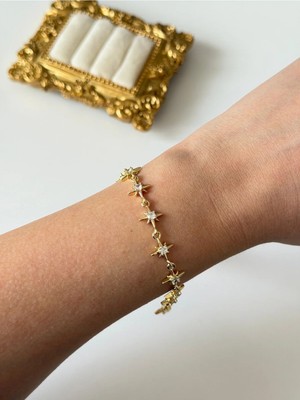 Çelik Gold Zirkon Kutup Yıldız Bileklik