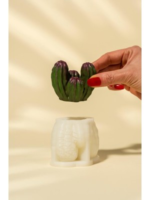 Rufus Concept Peanut Kaktüs Silikon Mum Kalıbı