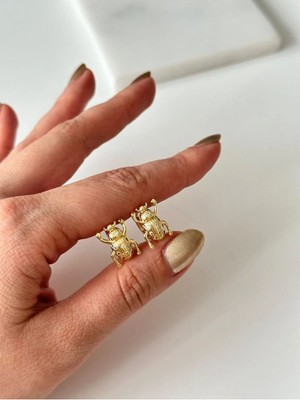 14K Çelik Üzeri Altın Kaplama Minimal cm Küpe