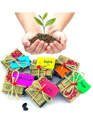 Store Mania Ieg™ Dilek Tohumları - Aşk