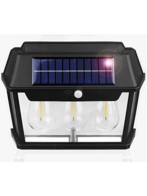 Store Mania Ieg™ Solar Bahçe Aydınlatması 3’lü