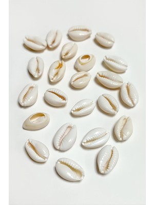 Store Mania Ieg™ 10 Adet Orjinal Istiridye Aparatı Küçük