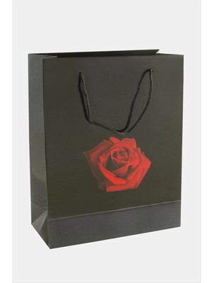 Store Mania Ieg™ 20*25 Gül Ipli Karton Çanta 1 Adet