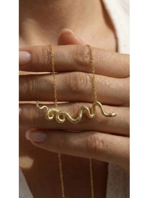 Wind Silver Luxury Snake Kolye 925 Ayar