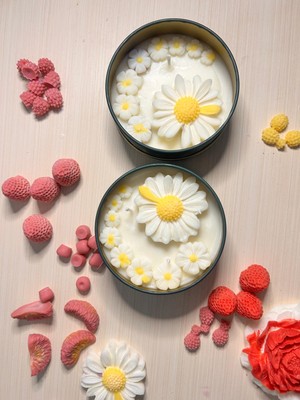 Lilac Mum Papatya Mum