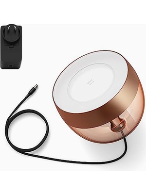 Delixa Hue Iris Bakır Akıllı LED Masa Lambası, Özel Seri, Gen4