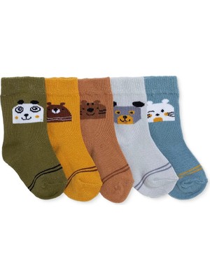 Hellobaby Hellobaby, Erkek, 5'li Soket Çorap, Dinozor Baskılı
