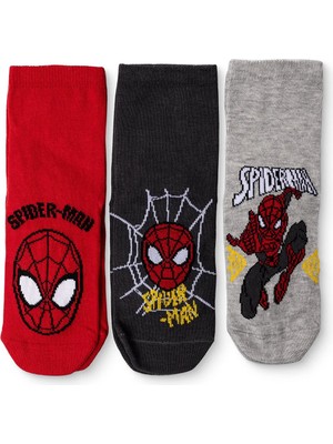 Hellobaby Hellobaby, Erkek, 3lü Soket Çorap, Çizgili