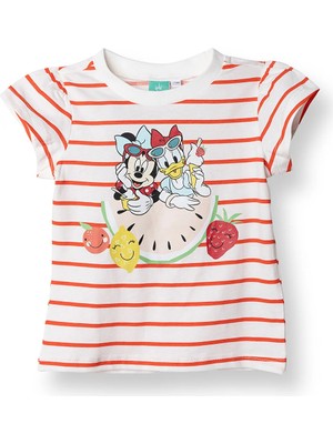 Disney Disney, Kız, Lisans Tshirt, Minnie Mouse, Bisiklet Yaka, Kısa Kol