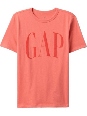 Gap Erkek Çocuk T-Shirt V-Frch Logo Arch Tee