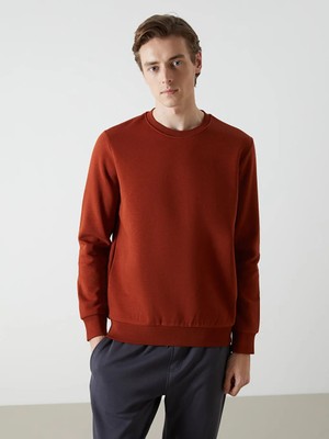 LC Waikiki Kahverengi Bisiklet Yaka Uzun Kollu Erkek Sweatshirt