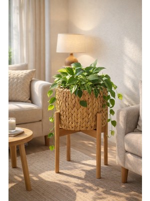 ada ahşap oyma ve çerçevecilik Standlı Hasır Saksı