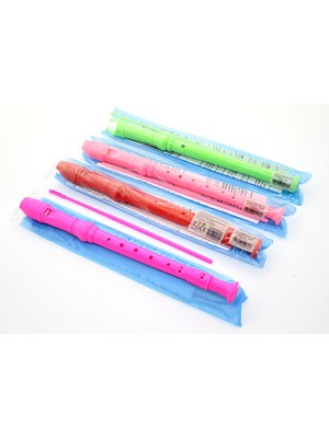 Meks Renkli Plastik Flüt