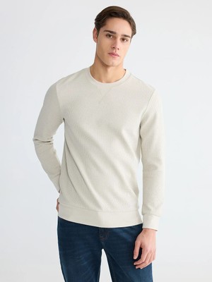 LC Waikiki Bej Bisiklet Yaka Erkek Sweatshirt