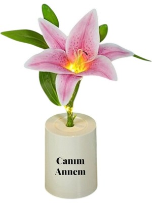 Hediye Fikri Kişiye Özel Asil Zarafetin Işığı Pembe Zambak (Lilyum) Dekoratif Lamba