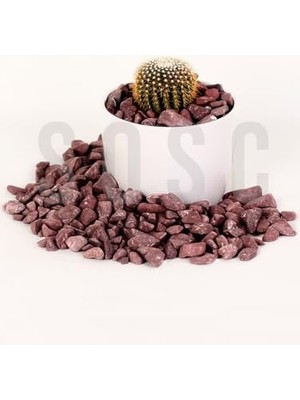 Bordo Çakıl Taşı Dolomit Taşı Bahçe Süsü Akvaryum Taşı Dere Çakıl Taşı 2-3 cm 1 kg