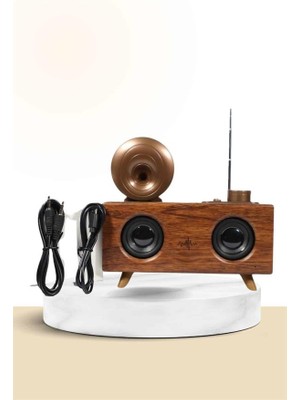 Nuveden Ieg™ Nostaljik Radyo Bluetooth Bağlantılı Şarjlı Yüksek Ses Kaliteli