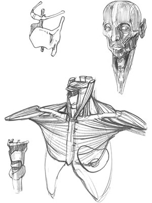 Nexa Morfo - Sanatçılar Için Anatomi