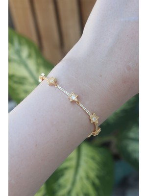 Aesco Vip Seri Pirinç Zirkon Taşlı Gold Renk Halley Model Bileklik - Lisinya