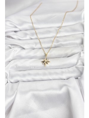 Aesco 316L Çelik Zincir Gold Renk Kutup Yıldızı Model Kadın Kolye - Lisinya