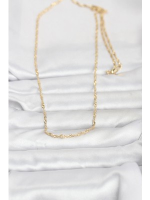 Aesco cm 14K Gold Renk Burgu Zincirli 60 cm Kadın Kolye - Lisinya