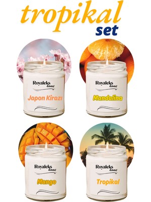 Royaleks 4 Adet Doğal Özel Seri Kokulu Dekoratif Kavanoz Mum 4X210 cc - Tropikal Set - Ryl